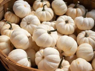 Bawang Putih, Superfood untuk Kecantikan Kulit yang Bersinar