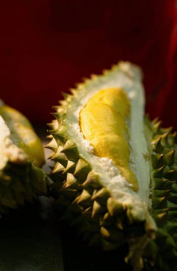 Durian Si Raja Buah Yang Memikat Dengan Rasa 