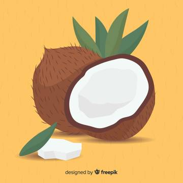Manfaat Konsumsi Daging Kelapa untuk Kesehatan