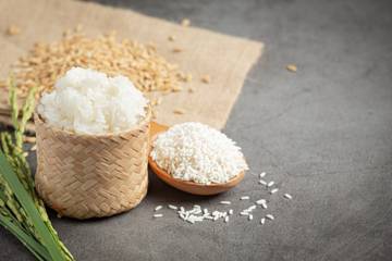 Fakta Unik Tentang Nasi yang Perlu Kamu Ketahui 