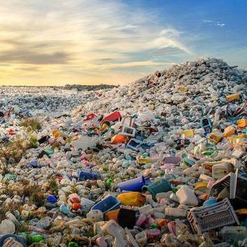 Menyambut Hari Lingkungan Hidup Sedunia 2025