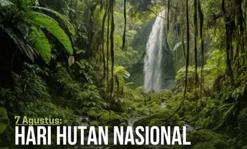 Hari Hutan Nasional, Momentum Refleksi Kondisi Hutan Sulawesi