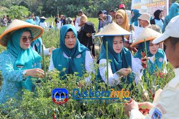 TP PKK Sultra Lakukan Pelatihan Bersama 