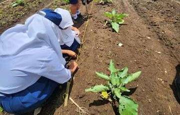 Sekolah di Kendari Wajib Memiliki Kebun