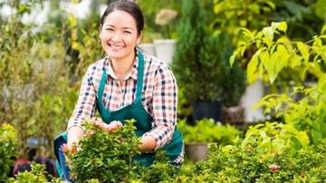 Hobi Berkebun Jadi Terapi di Tengah Kesibukan