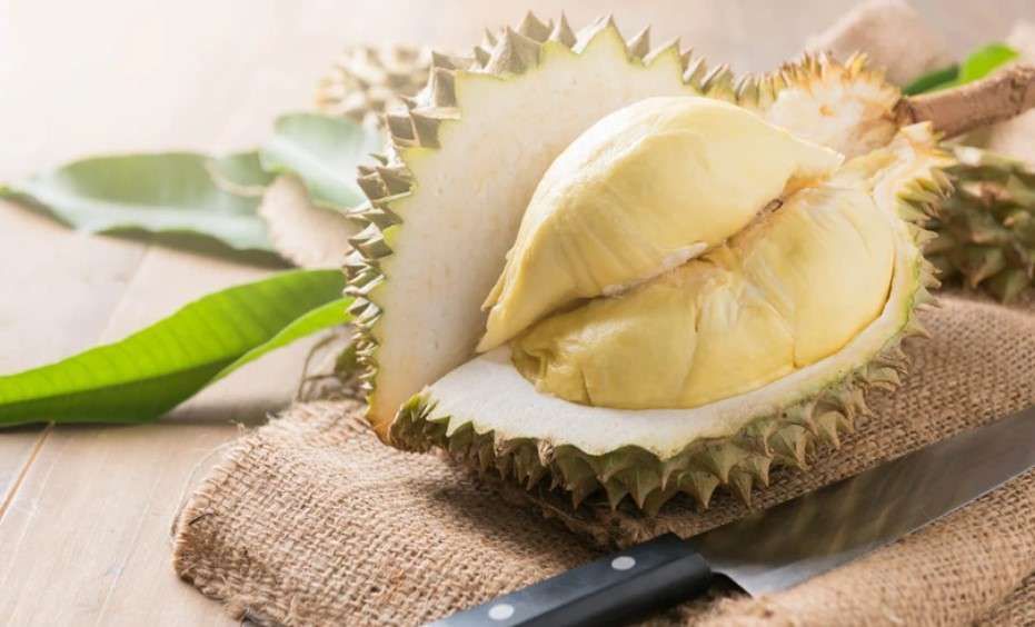 Dampak Konsumsi Durian pada Kolesterol yang Perlu Diketahui