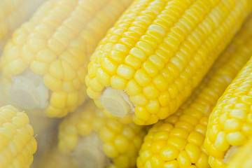 Berbagai Menu Makanan Sehat dari Jagung