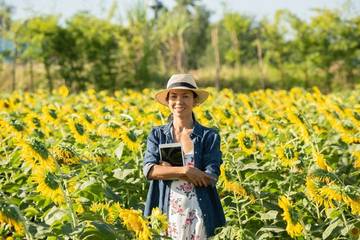 Bunga Matahari, Peluang Agribisnis Menjanjikan di Indonesia