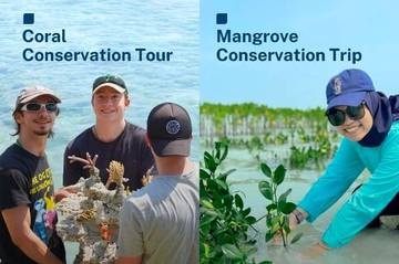WISE Trip, Liburan Ramah Lingkungan Berbasis Karbon Biru