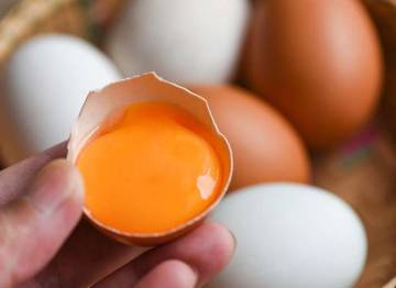 Panduan Mengenali Telur Omega-3 dan Telur Biasa