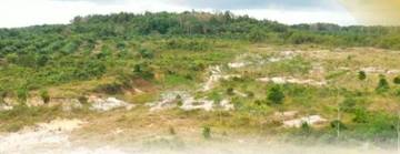 Pemerintah Percepat Reforma Agraria di NTT