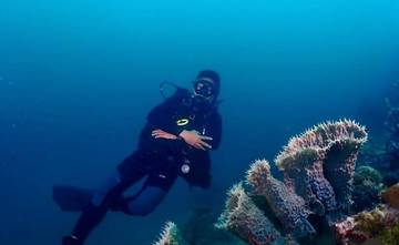 Menjelajahi Dunia Tersembunyi: Keajaiban dan Petualangan Scuba Diving