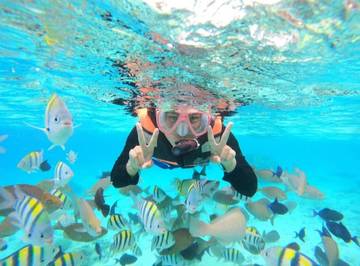 Mengintip Keajaiban Dangkal: Kesenangan dan Kemudahan Snorkeling