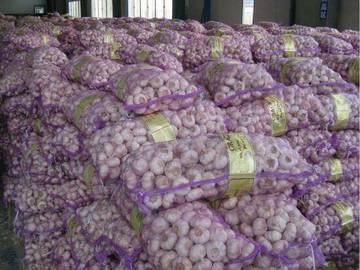 Kemendag Perketat Distribusi Impor Bawang Putih Juni 2025