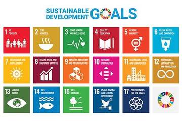 Indonesia Peringkat 4 Capaian SDGs Negara ASEAN 2025