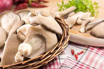 Memasak Jamur Tiram yang Mudah dan Enak