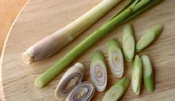 Solusi Nyamuk Pergi Pakai Bahan Dapur Saja
