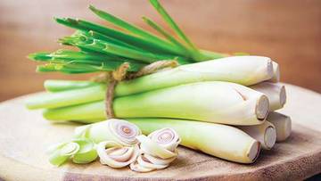Tanaman Herbal Ini Ampuh Usir Hama Secara Alami