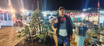 Bonsai Serut Ketua DPRD Rote Ndao Jadi Primadona