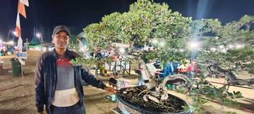 Komunitas Bonsai Rote Ndao Harap Ada Kontes Lokal