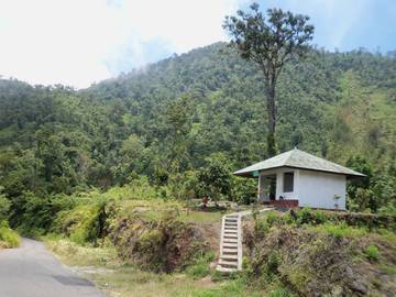 Golo Lusang: Cocok Untuk Wisata Edukasi Alam