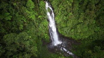 Cunca Rede: Air Terjun Indah di Tengah Hutan