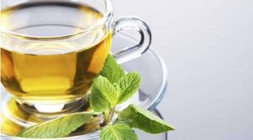 Teh Hijau Minuman Jadikan Tubuh Tetap Semangat