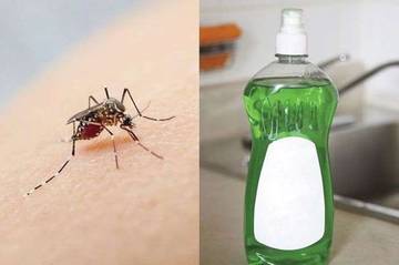 Usir Nyamuk Tanpa Obat Kimia, Coba Campuran Detergen