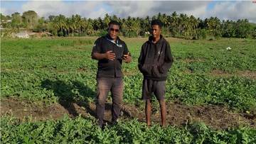 Petani Muda Rote Ndao Sukses Tekuni Semangka Non-Biji