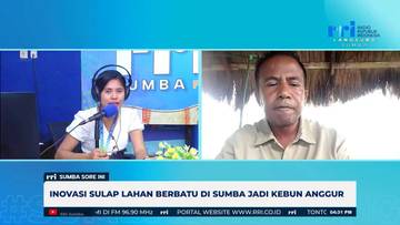 Inovasi PT. SAS: Lahan Berbatu Menjadi Kebun Anggur
