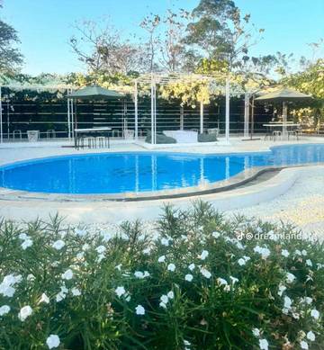 Dreamland Cafe Kupang Hadirkan Konsep Back to Nature