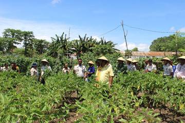 Kanwil Ditjenpas NTT Gelar Panen Raya Serentak 