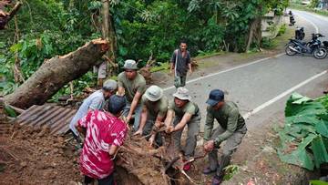 Brimob Polda NTT Evakuasi Pohon Tumbang di Sikka