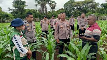 Polres Rote Ndao Monitoring Lahan Jagung Program Astacita