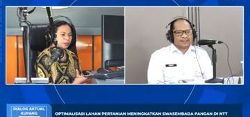 Optimalisasi Lahan Kunci Swasembada Pangan NTT
