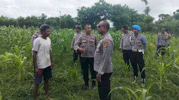 Tim Supervisi Polres Rote Ndao Dampingi Petani Jagung