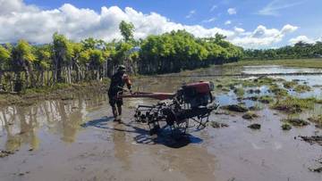 Babinsa Koramil Karera Dampingi Petani Bajak Sawah 