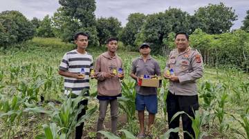 Kapolres Rote Ndao Bagi Herbisida Bantu Petani Jagung