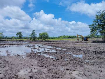 CSR Dorong Ketahanan Pangan Di Desa Manusak