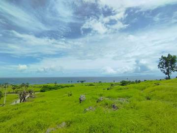 Padang Savana Namosain, Wisata Alam Favorit Anak Muda