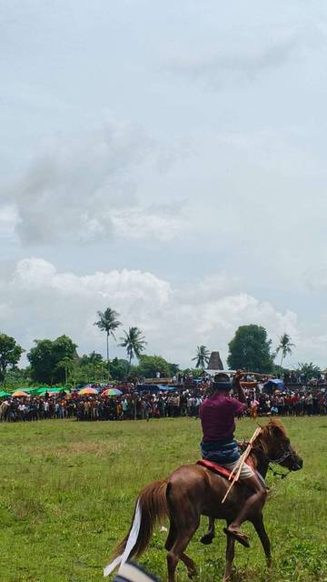 Pasola Sumba Tradisi Sakral Pemersatu Masyarakat Adat