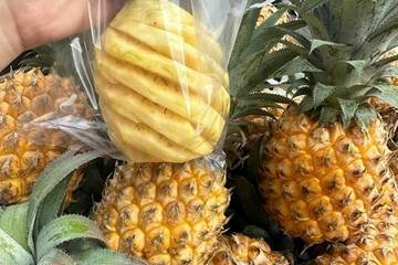 Fakta dan Mitos Buah Nenas 