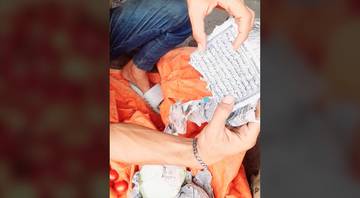 Beredar Video Sayur Kol yang Dibalut Kertas Al Quran
