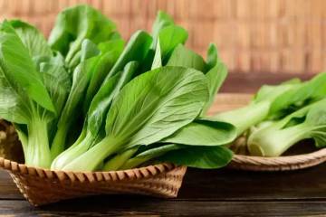 Manfaat Sayur Pakcoy untuk Menurunkan Berat Badan