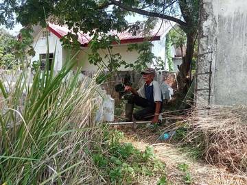 Kisah Wak Liyah, Penjaga Abadi Hagu Teungoh