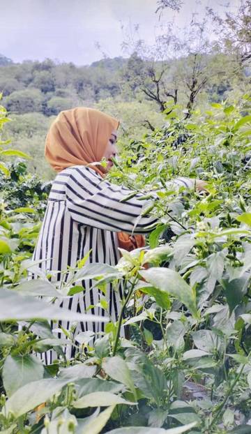 Liburan Lebaran ke Kebun, Alternatif Seru dan Edukatif
