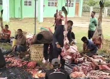 Desa Mon Geudong Sembelih 15 Ekor Lembu Qurban