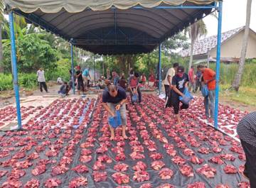 Desa Meunasah Blang Sembelih 8 Ekor Sapi