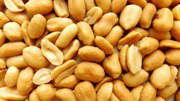 Kacang-Kacangan Pengganti Daging Ideal untuk Vegetarian