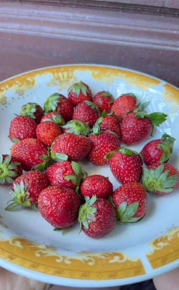 Rahasia Menarik Dibalik Buah Strawberry yang Menggoda